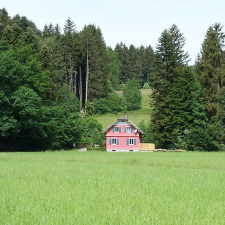 Erwins Ferien-Paradies Hörbranz Dış mekan fotoğraf