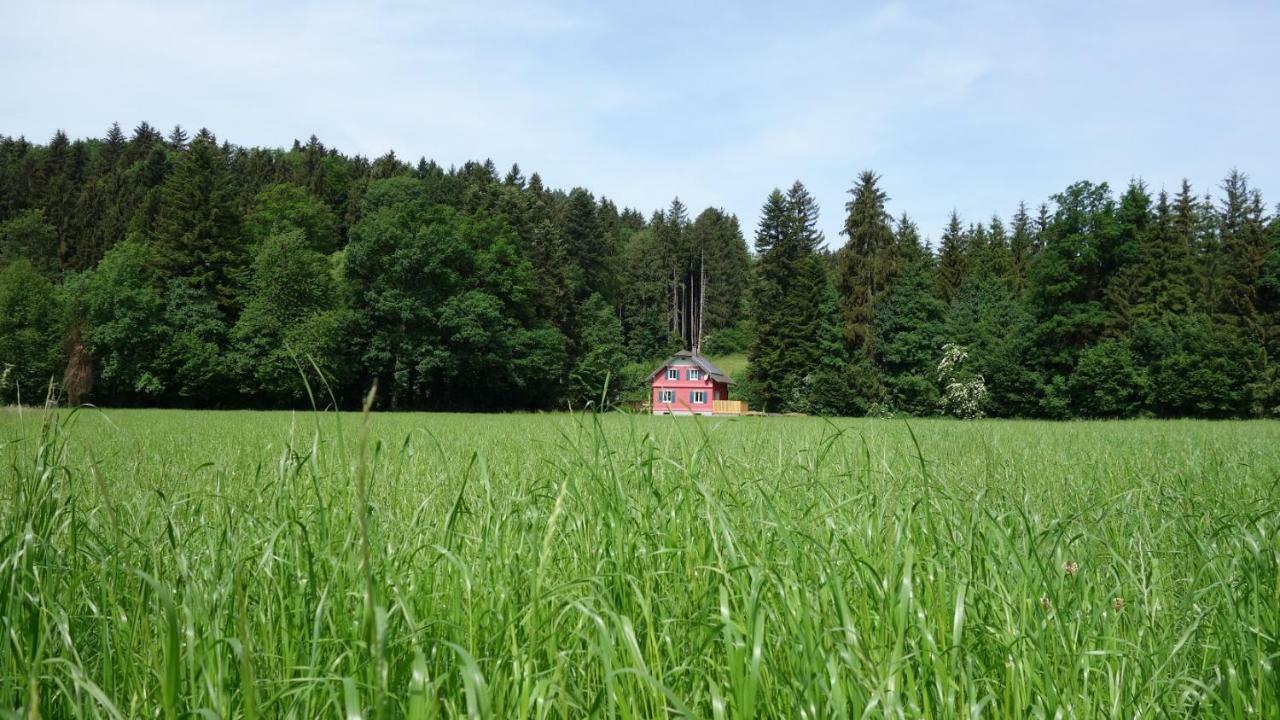 Erwins Ferien-Paradies Hörbranz Dış mekan fotoğraf