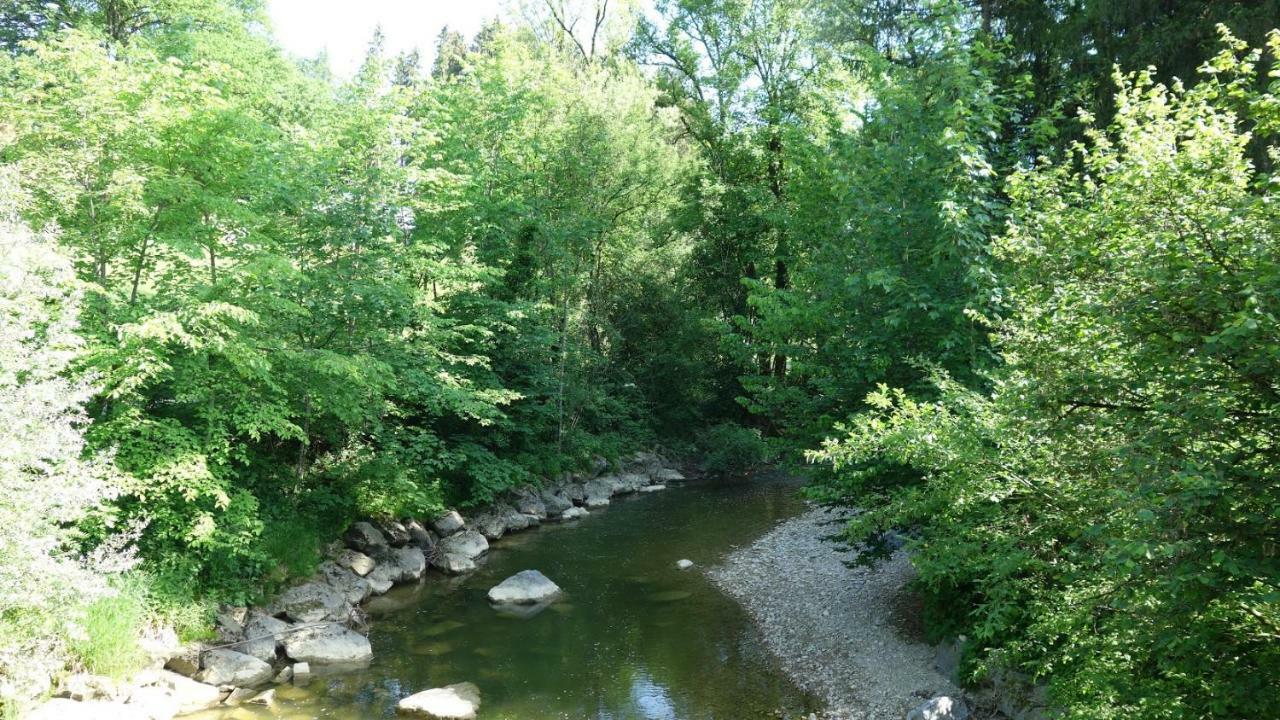 Erwins Ferien-Paradies Hörbranz Dış mekan fotoğraf